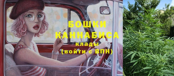 кокс Арсеньев